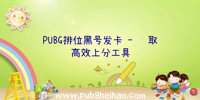 PUBG排位黑号发卡